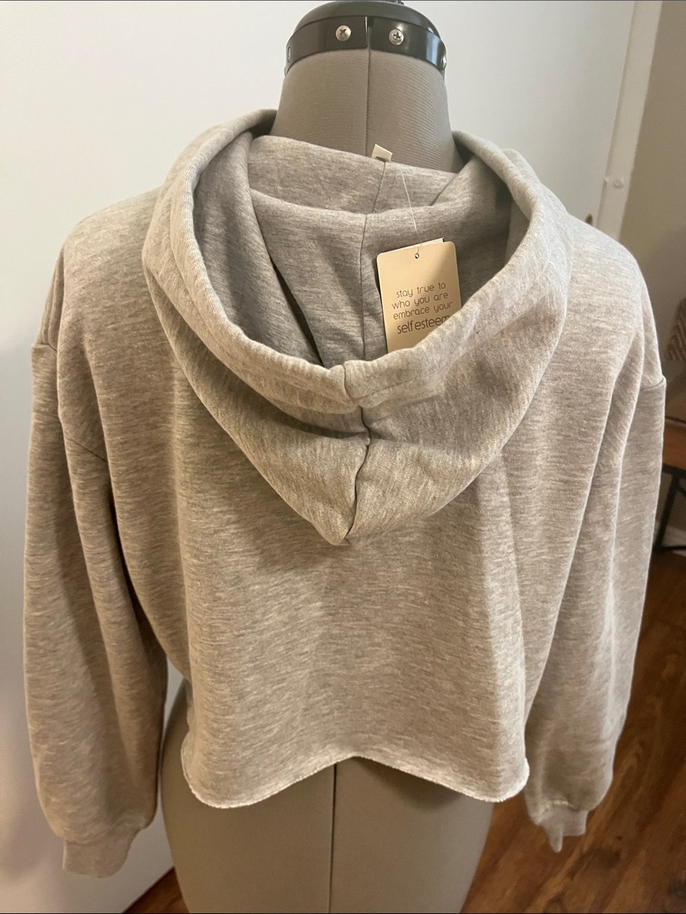 Self Esteem Light Grey Hoodie with Tag - Picture 4 of 5